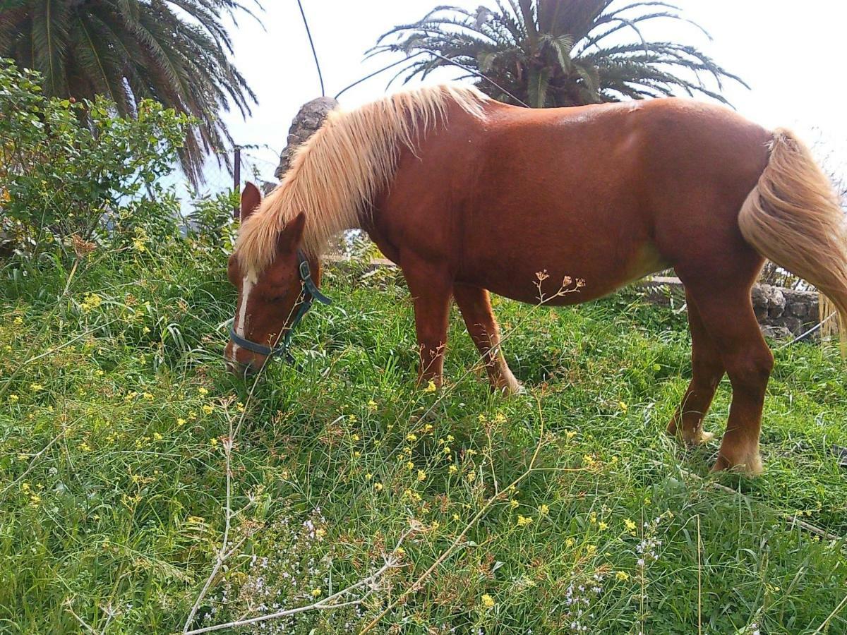 Azienda Agrituristica Le Terre Di San Leonardo سترارو المظهر الخارجي الصورة