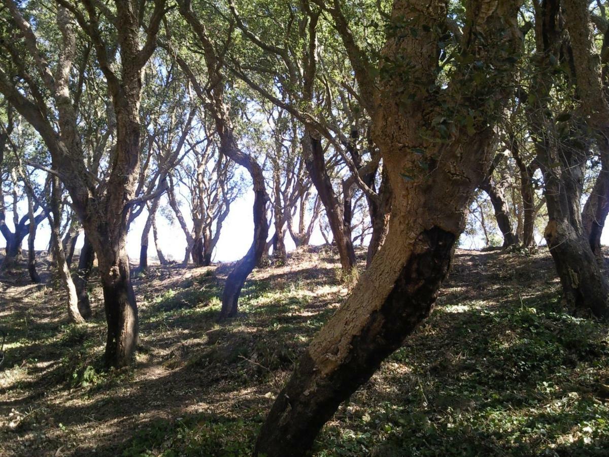 Azienda Agrituristica Le Terre Di San Leonardo سترارو المظهر الخارجي الصورة